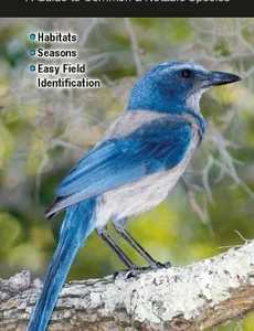 Birds of Central Florida Laminated Guides