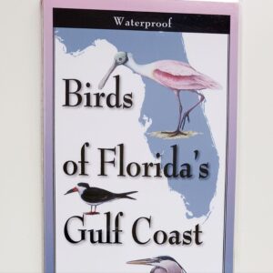 Birds Of Florida's Gulf Coast Laminated Guide