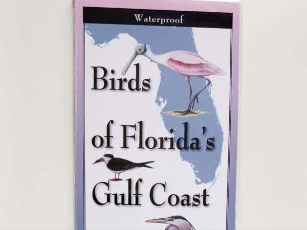 Birds Of Florida's Gulf Coast Laminated Guide - Seaside Seabird Sanctuary