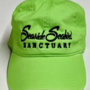 Hat - Lime Green