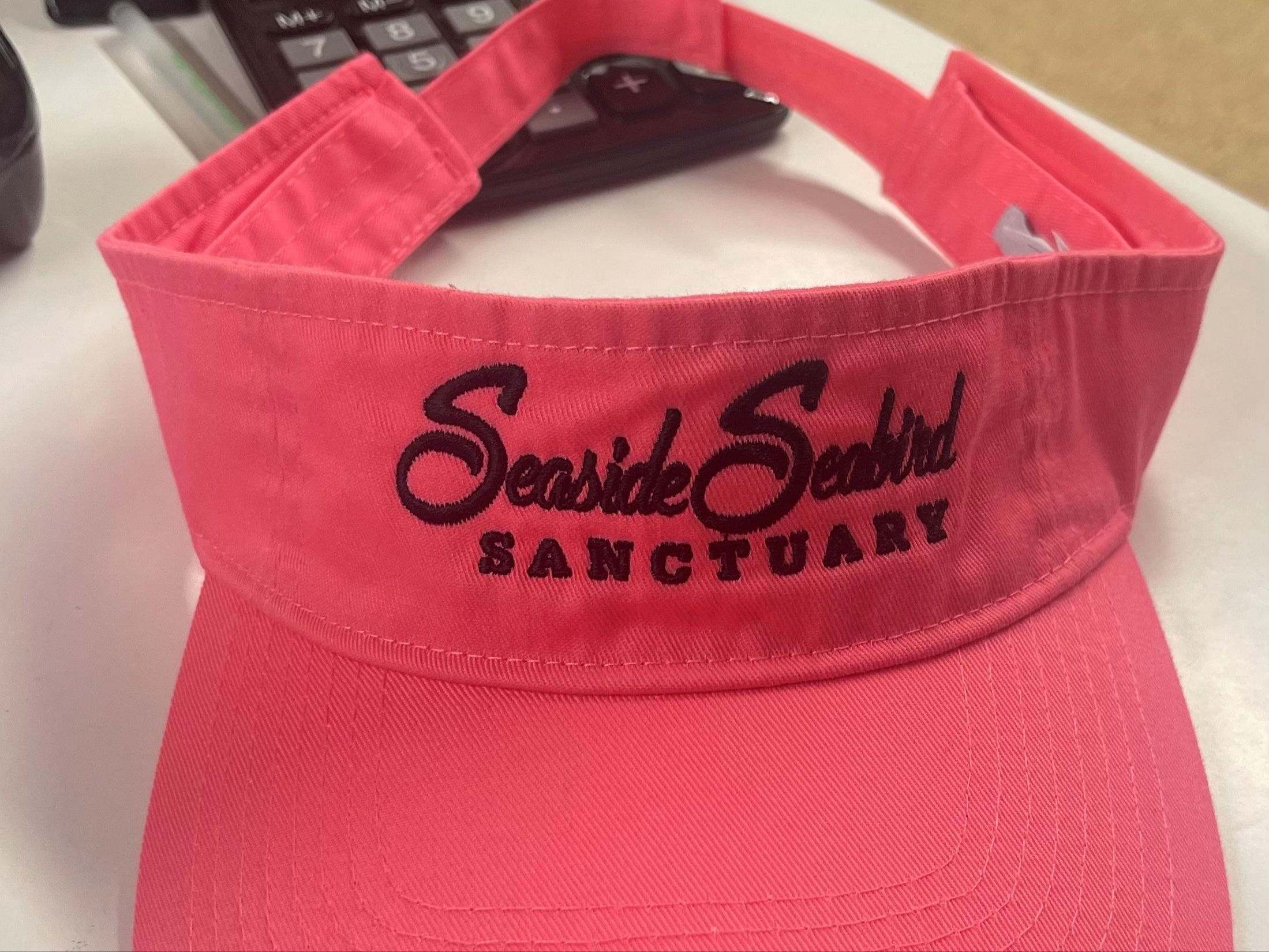 6YY8JXF1JC2MA Visor - Pink