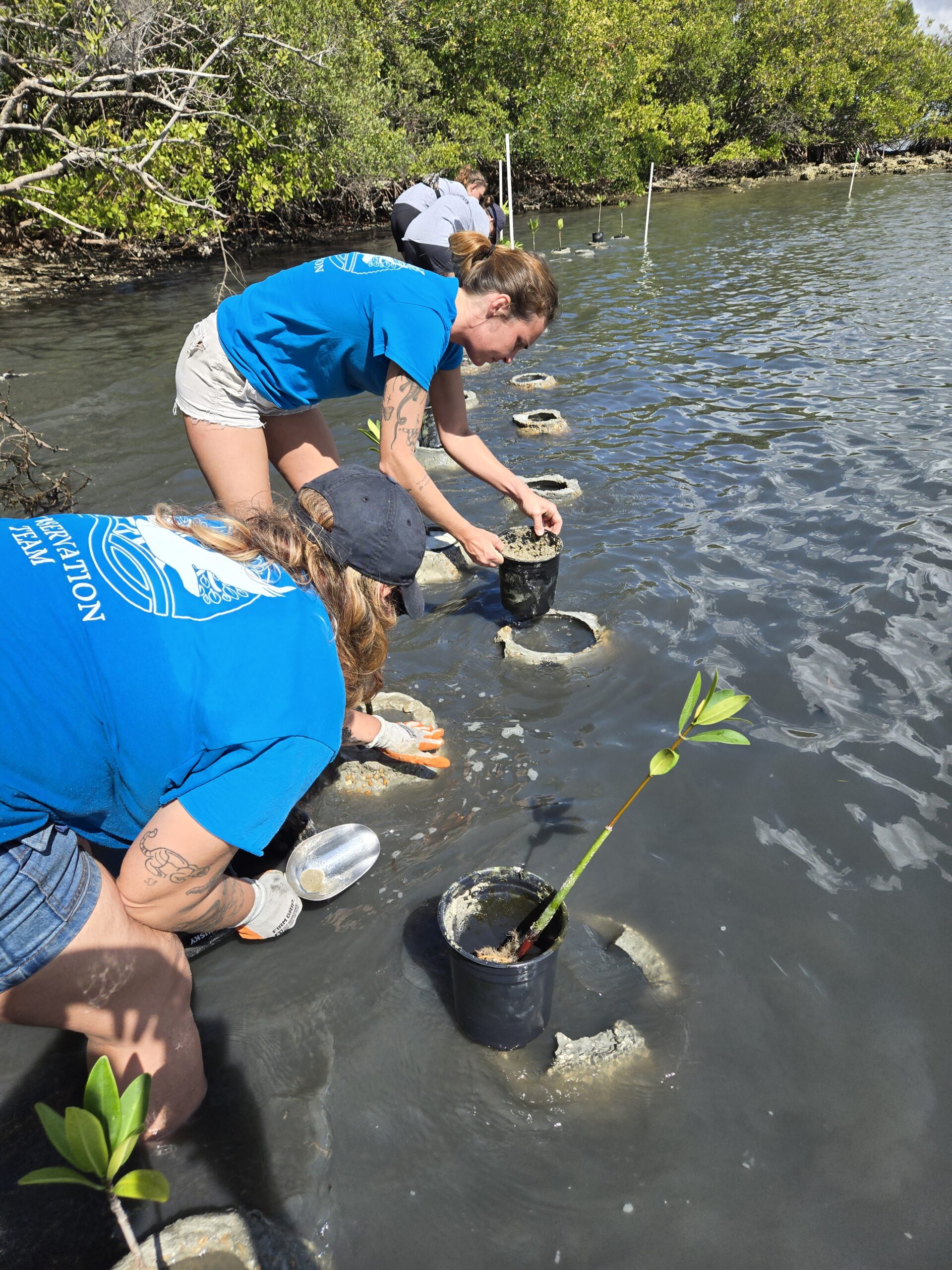 conservation team